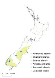 Centrolepis glabra distribution map based on databased records at AK, CHR and WELT.
 Image: K. Boardman © Landcare Research 2014 